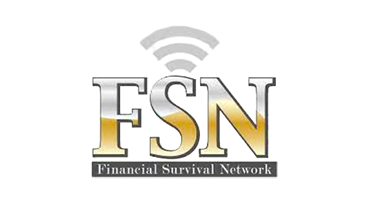 FSN financial survival network